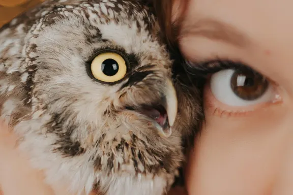 Cazino Welcome Bingo Cazinou Suport